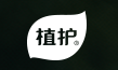 ֲ